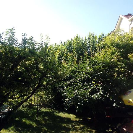 Vila Dudan Ohri Dış mekan fotoğraf