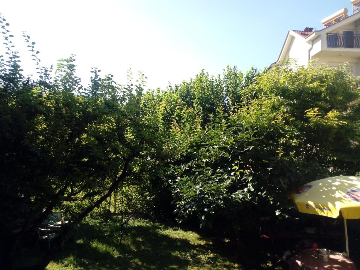 Vila Dudan Ohri Dış mekan fotoğraf