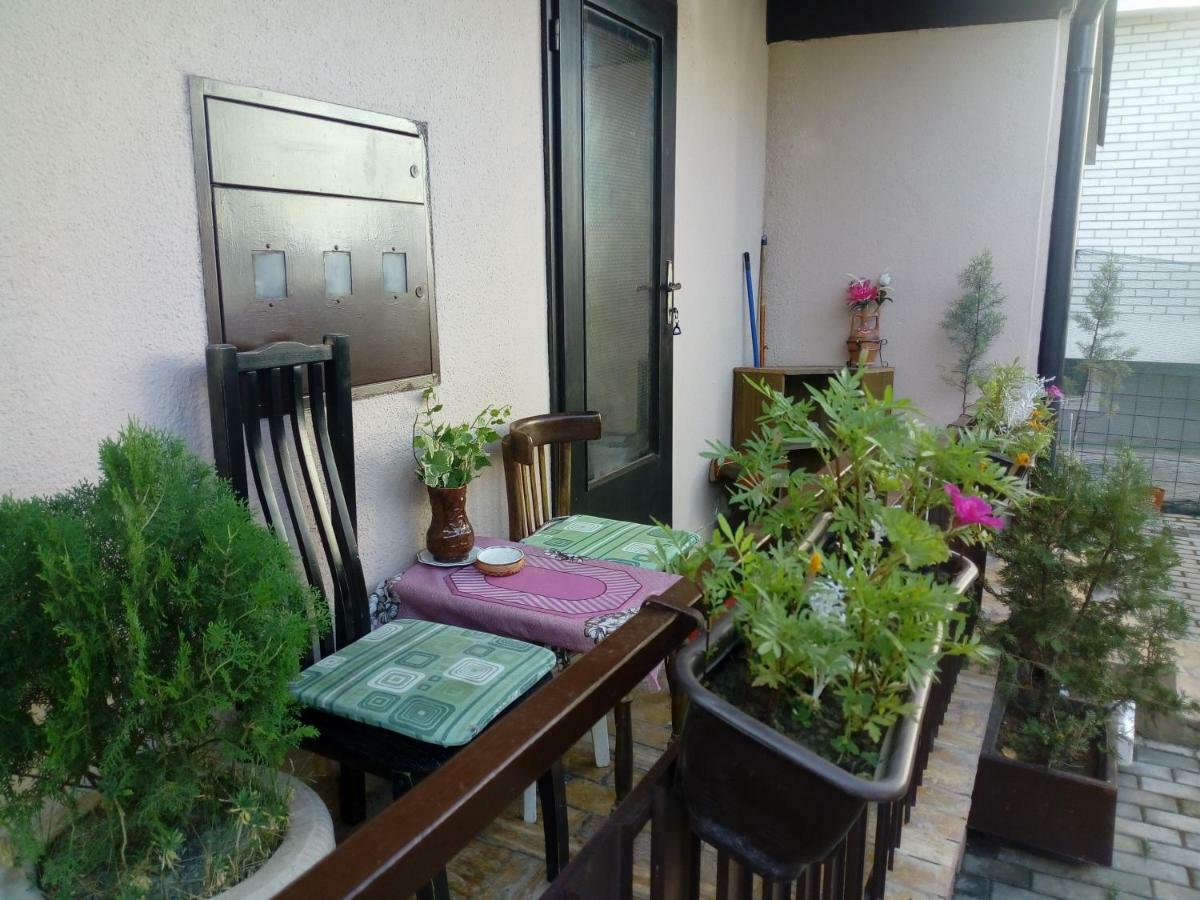 Vila Dudan Ohri Dış mekan fotoğraf